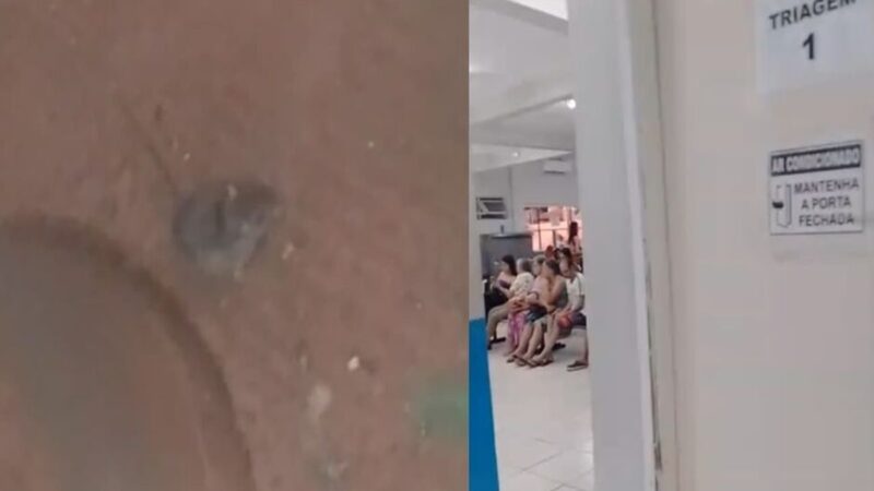 MS: paciente denuncia falta de higiene após rato ser visto em UPA