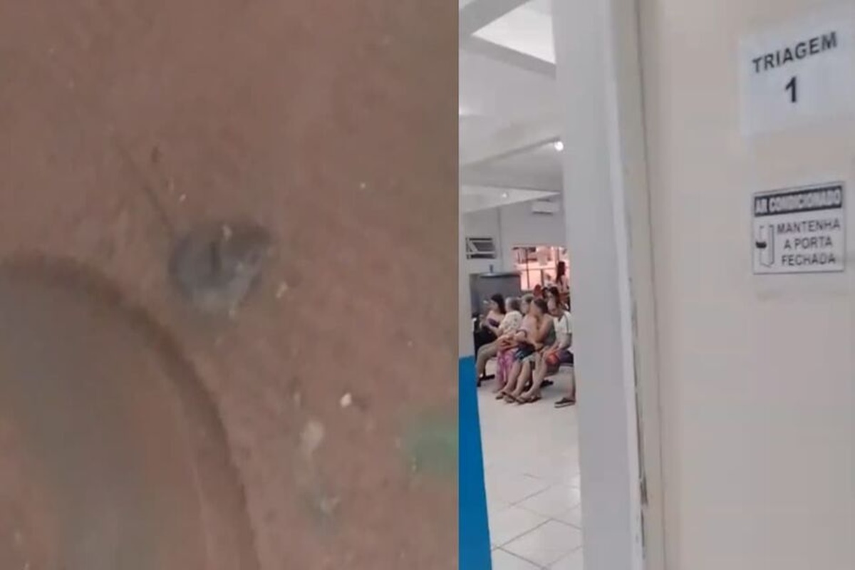 MS: paciente denuncia falta de higiene após rato ser visto em UPA