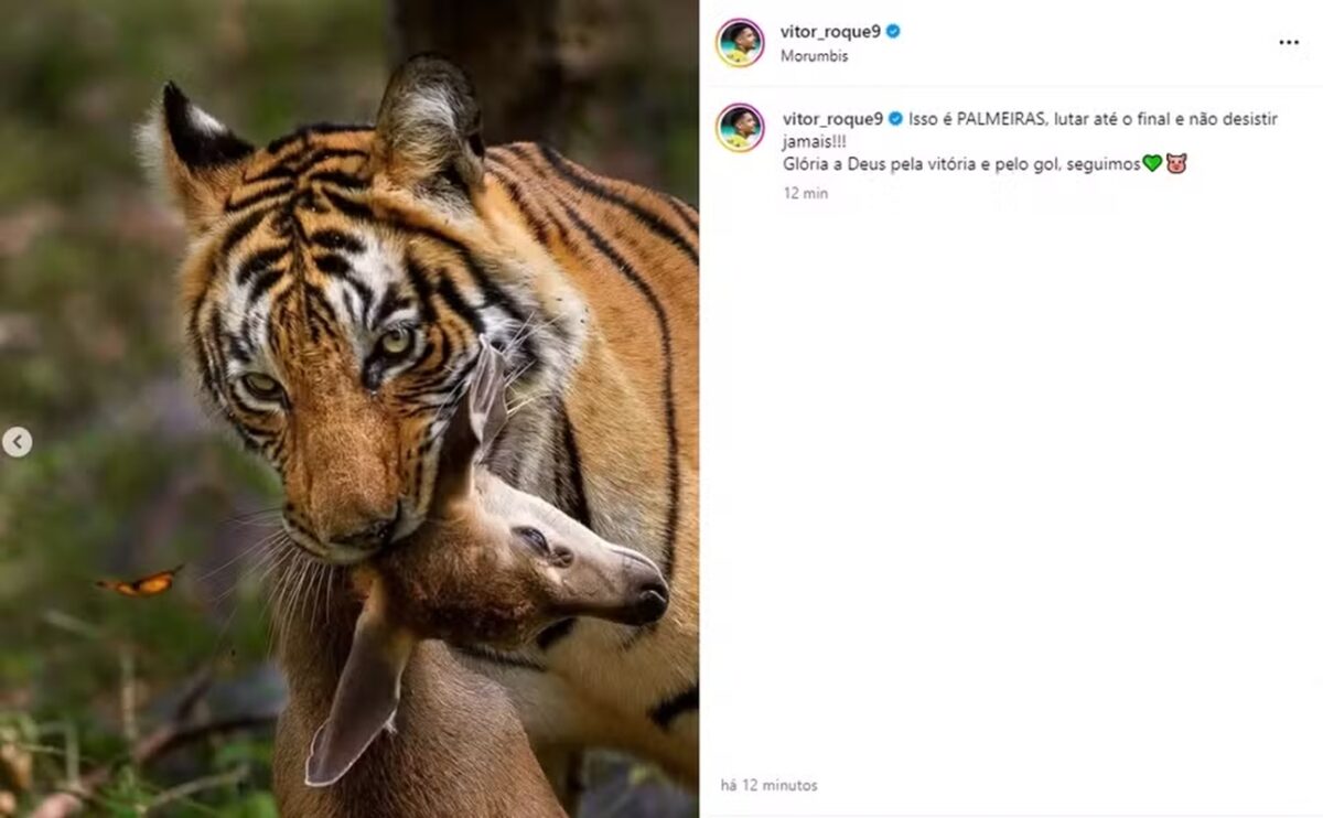 Vitor Roque faz post homofóbico em provocação ao São Paulo. Confira