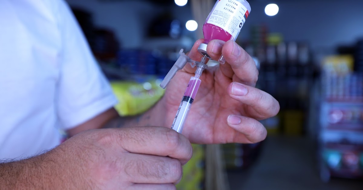 DF promove vacinação contra a raiva para cães e gatos neste sábado