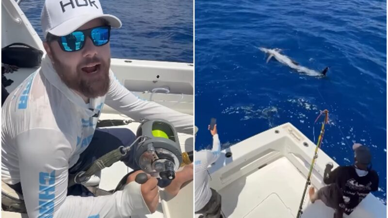 Zé Neto, da dupla com Cristiano, choca ao pescar peixe de 300kg