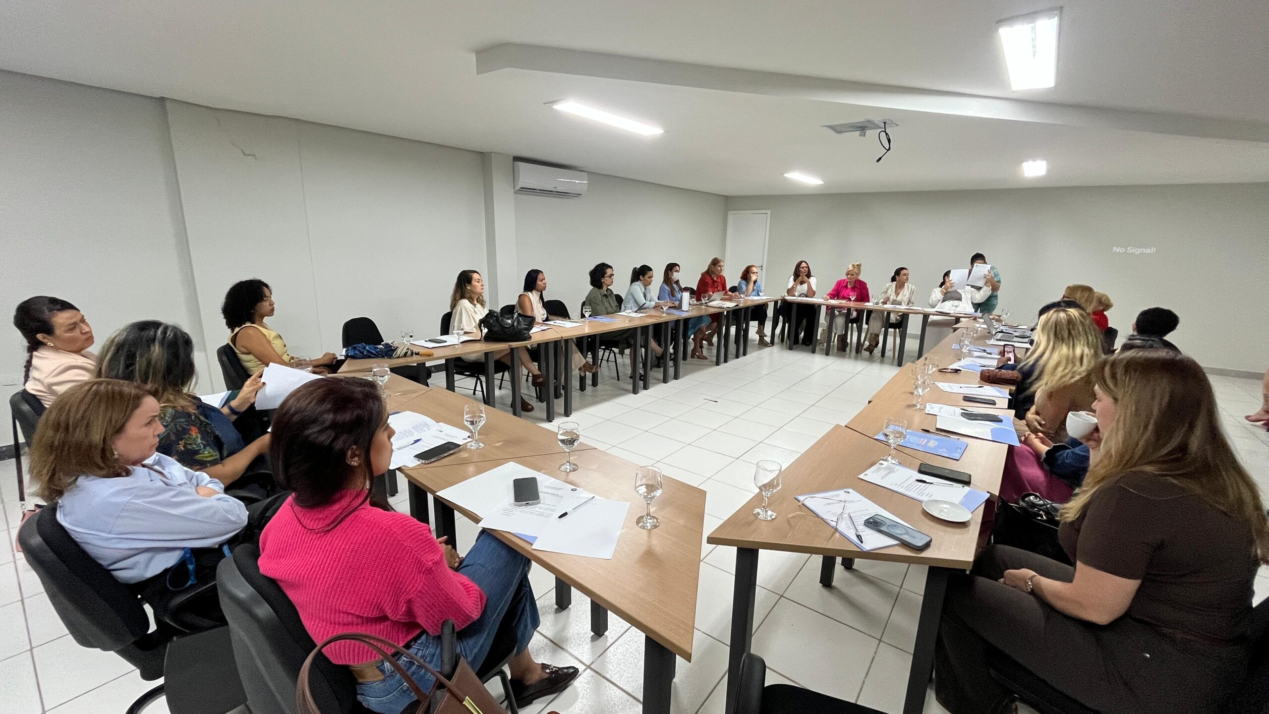 Conselho dos Direitos da Mulher traça metas e planejamento para 2026