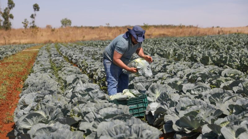 GDF reforça crédito e investe mais de R$ 16 milhões no Fundo de Desenvolvimento Rural