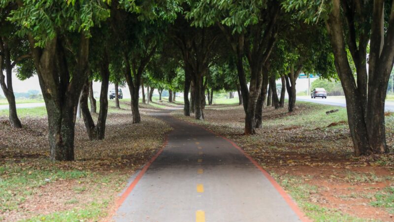 Cinco anos após a inauguração, ciclovia entre Gama e Santa Maria é referência de mobilidade na região