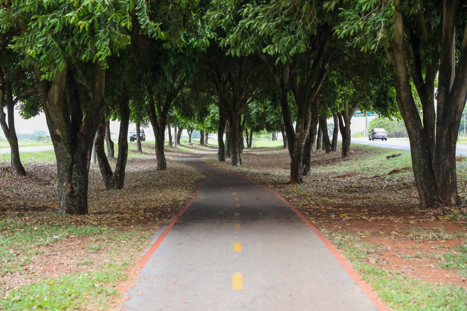 Cinco anos após a inauguração, ciclovia entre Gama e Santa Maria é referência de mobilidade na região
