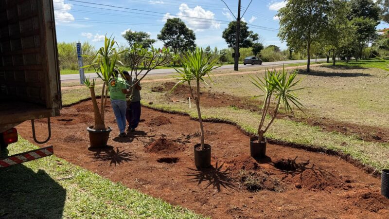 Programa Adote uma Praça chega ao Park Way e fortalece participação da comunidade