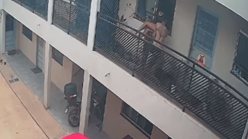 feminicida executa namorada e foge para o Paraguai