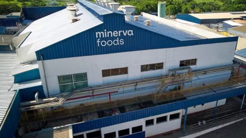Ações da Minerva desabam e lideram perdas na Bolsa após balanço