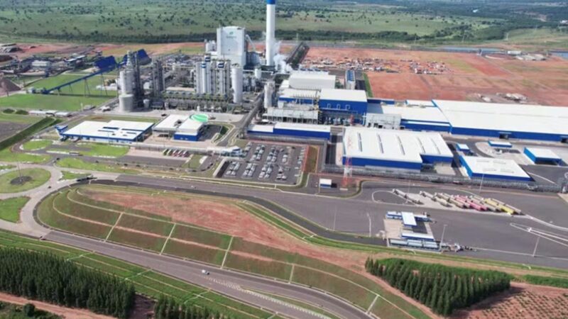 Lucro da Suzano vem acima do esperado, mas despenca quase 40%
