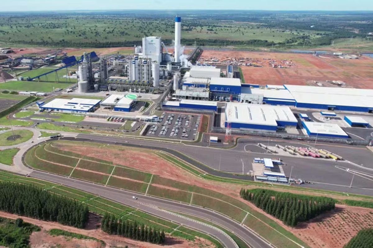 Lucro da Suzano vem acima do esperado, mas despenca quase 40%